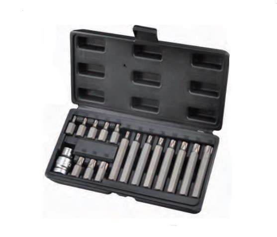 Набор вставок Torx 3/8"  L=30мм и 75мм + переходник 1/2"х3/8" 17пр.  "AEROFORCE"